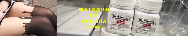 шишки Ахтубинск