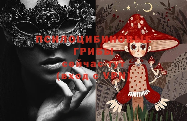 молекула духа Няндома